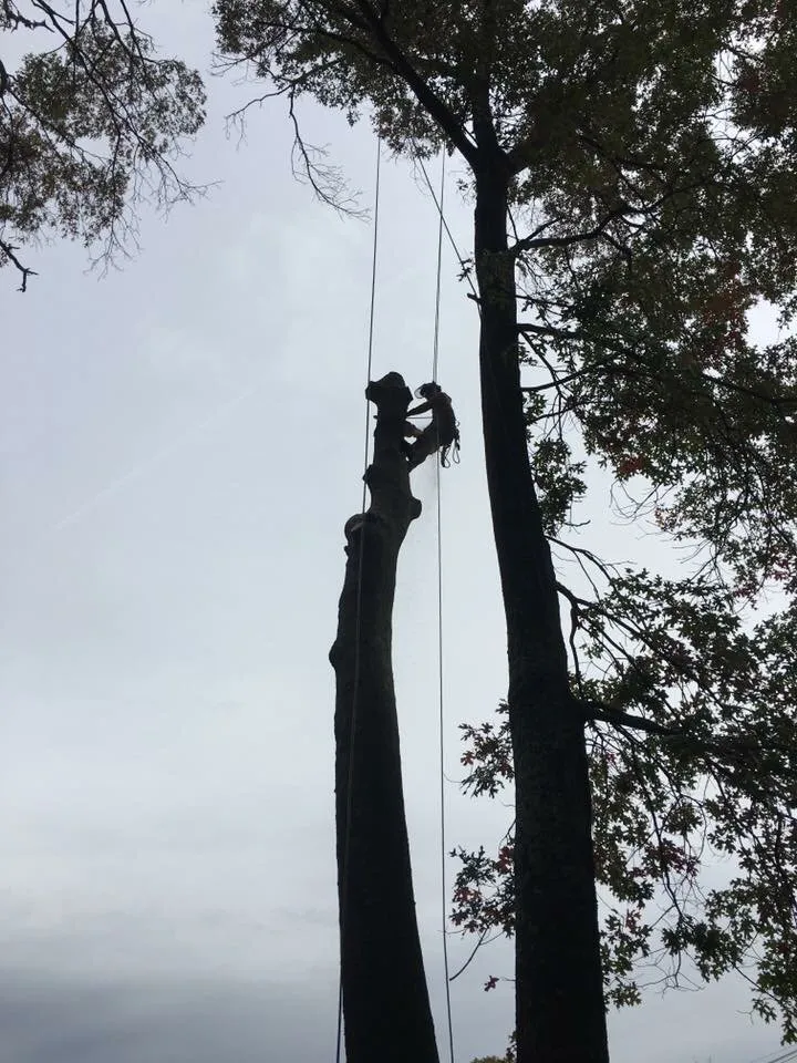 Top-rated lawn care service for outdoor upgrades in Beverly, MA by A Cut Above the Best