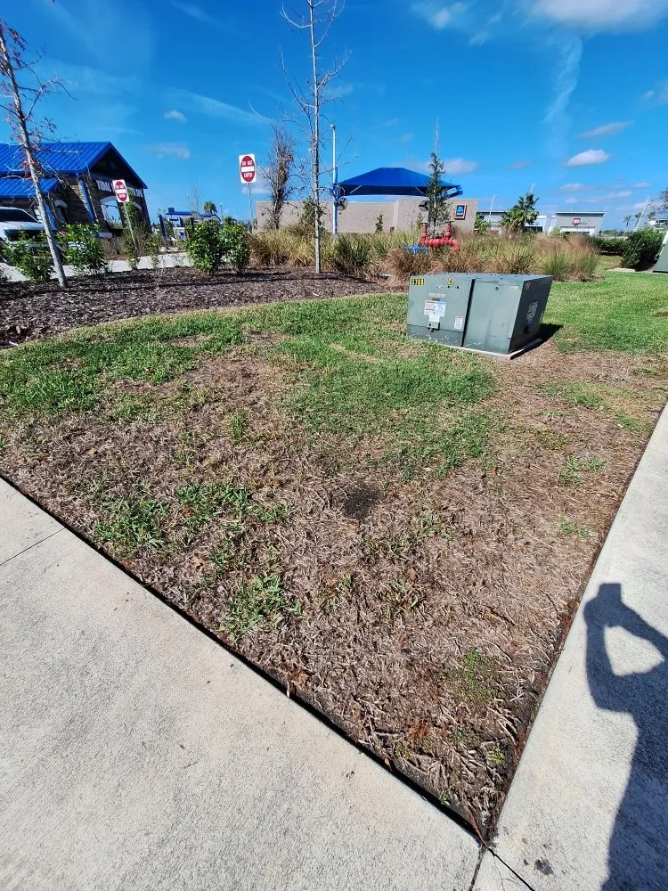 Reliable landscape design in Gibsonton, FL by A Cut Above The Best Lawn Care