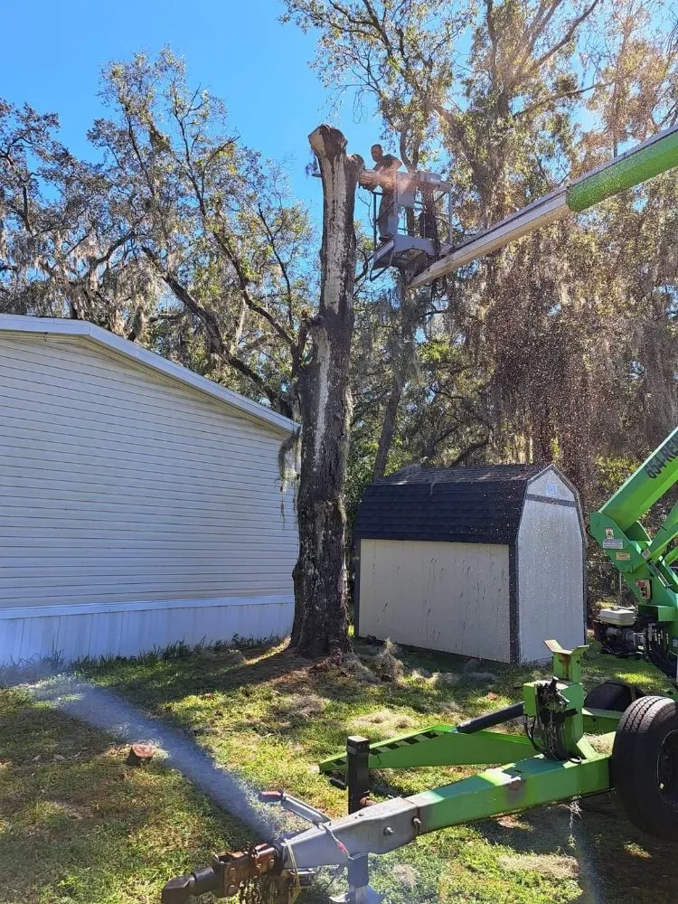 Local lawn care service for residential properties in Gibsonton, FL by A Cut Above The Best Lawn Care