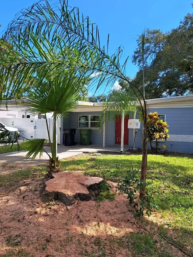 Expert residential landscaping in Gibsonton, FL by A Cut Above The Best Lawn Care