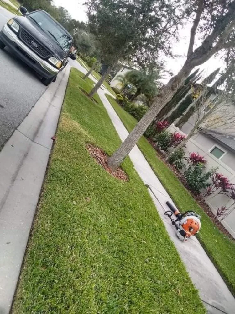 Expert landscape installation experts serving Gibsonton, FL - A Cut Above The Best Lawn Care