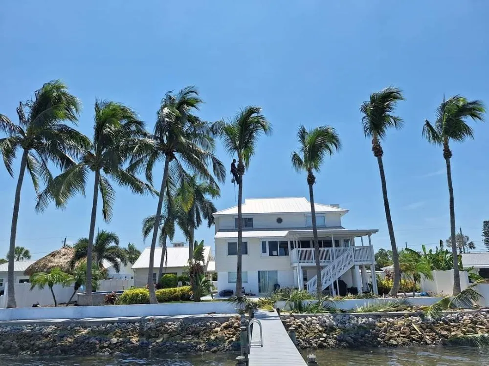 Expert landscape design in Gibsonton, FL by A Cut Above The Best Lawn Care