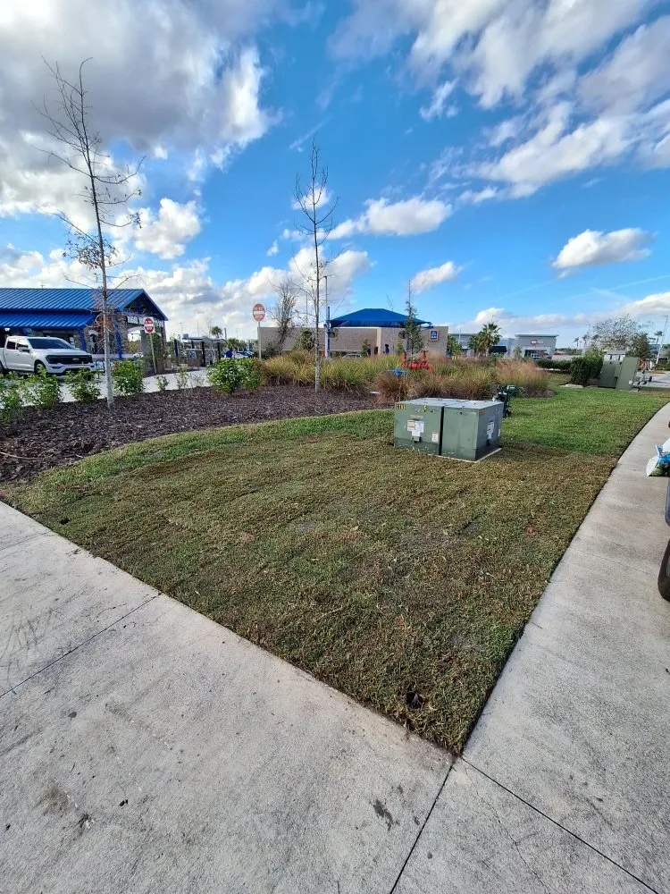 Expert yard maintenance in Gibsonton, FL by A Cut Above The Best Lawn Care