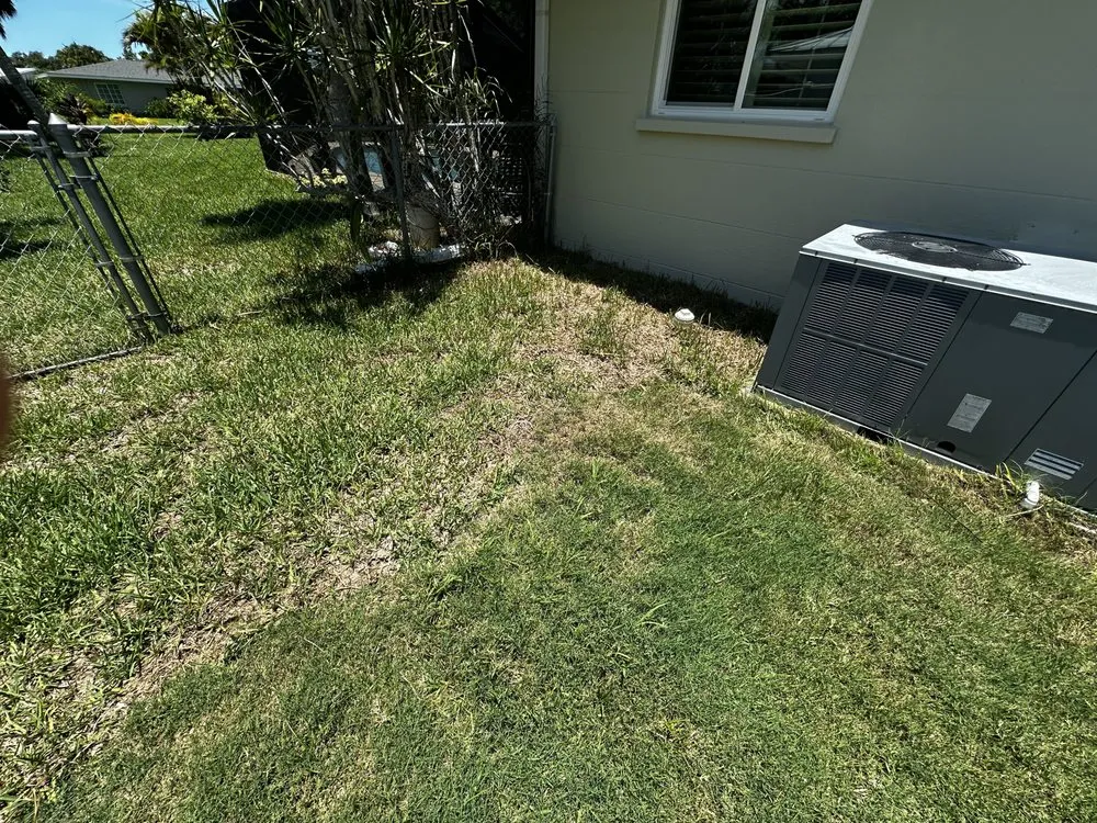 Professional yard maintenance in North Port, FL by A Cut Above The Best