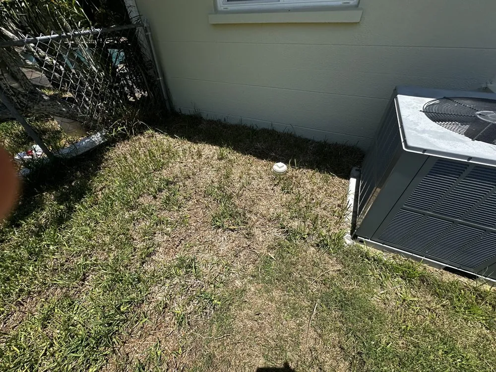 Affordable lawn care service for residential properties across North Port, FL - A Cut Above The Best