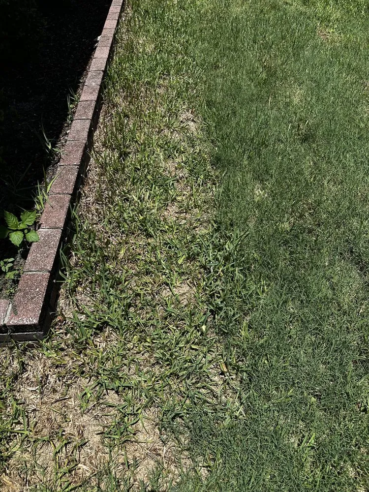 Top-rated yard maintenance in North Port, FL - A Cut Above The Best