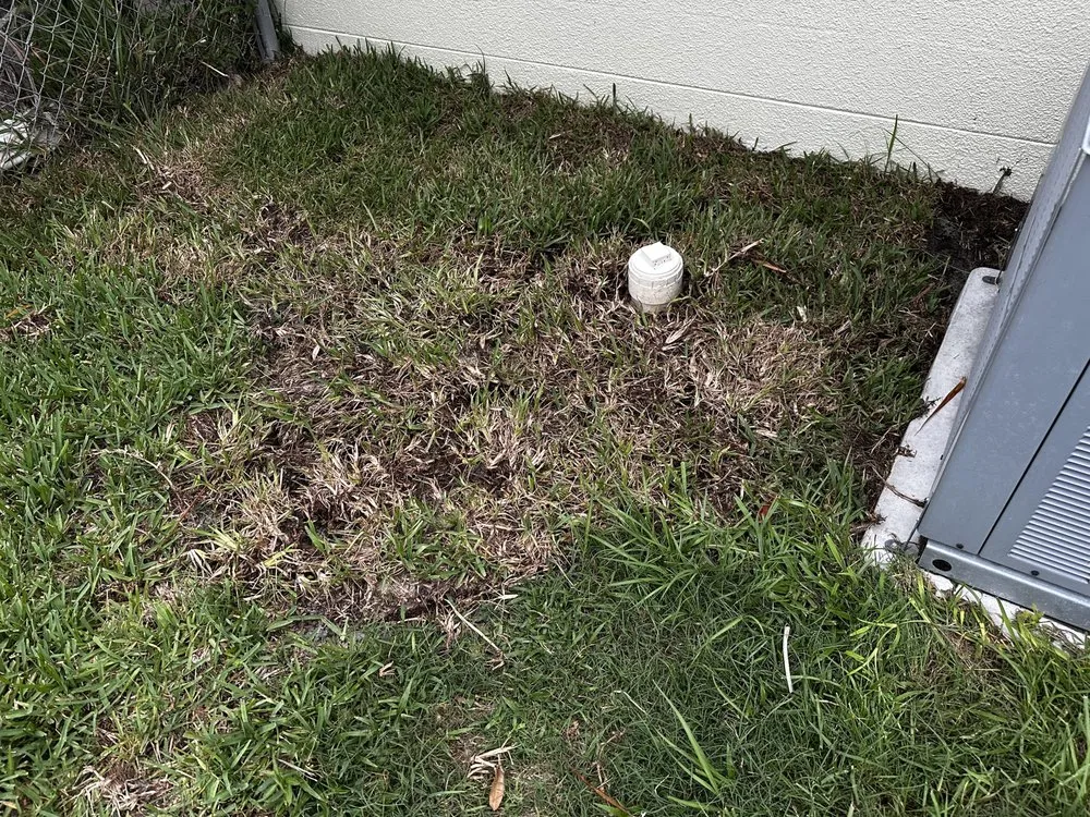 Custom lawn care service for beautiful yards in North Port, FL by A Cut Above The Best