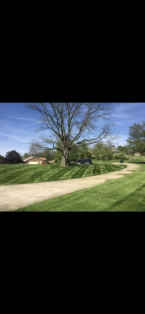 Expert yard cleanup service for year-round maintenance across Uhrichsville, OH - A Cut Above the Green