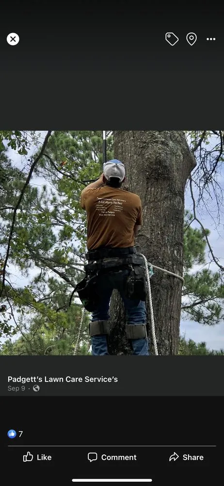 Professional outdoor landscaping in Batesburg-Leesville, SC - A Cut Above the Rest