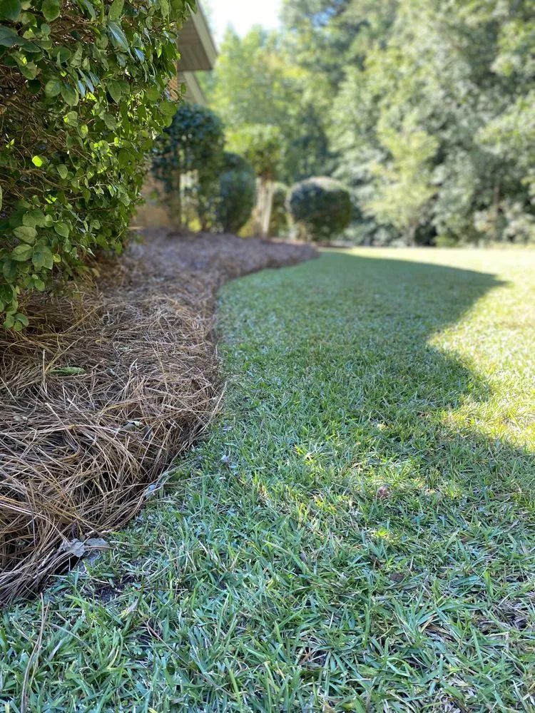 Professional residential landscaping experts serving Batesburg-Leesville, SC - A Cut Above the Rest