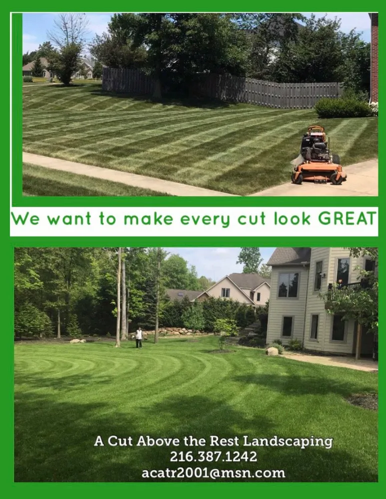 Expert yard cleanup service for homes across Broadview Heights, OH - A Cut Above The Rest