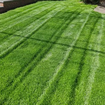 A Cut Above the Rest Logo