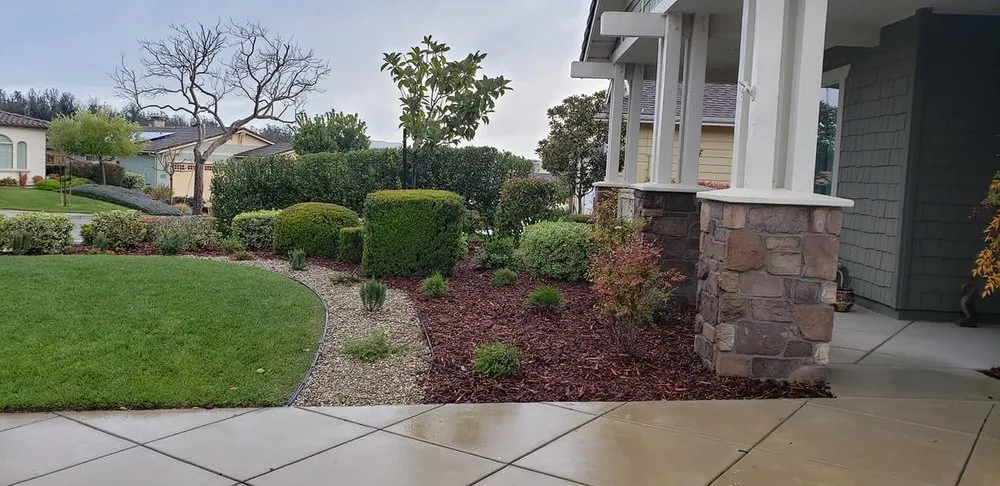 Top-rated residential landscaping in Nipomo, CA by A Cut Above The Rest Lawn Care & Hauling