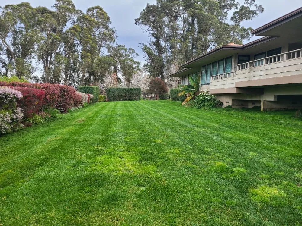 Affordable yard cleanup service with custom design in Nipomo, CA by A Cut Above The Rest Lawn Care & Hauling