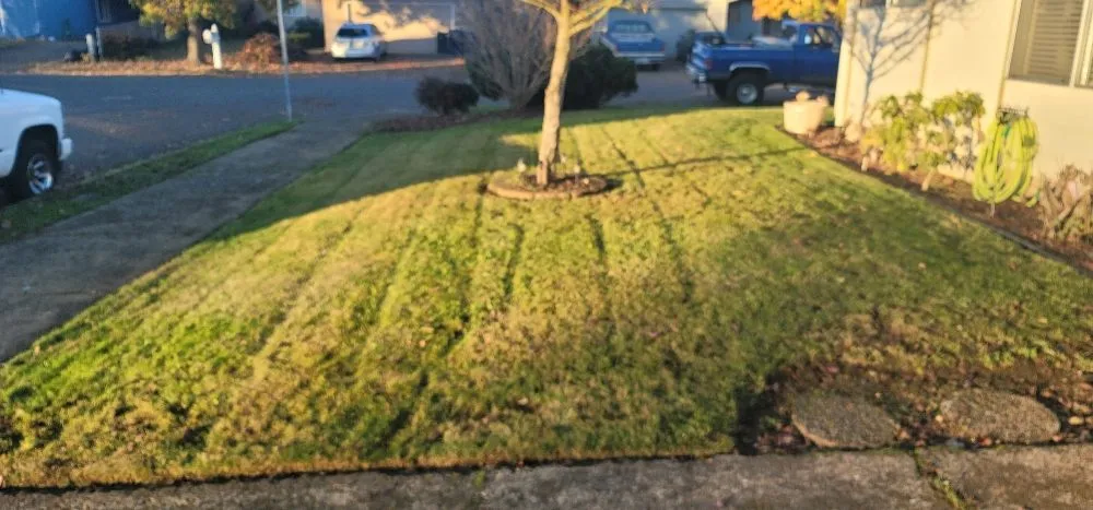 Top-rated lawn mowing service in Springfield, OR - A Cut Above The Rest Lawn Care