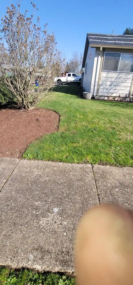 Trusted landscaping services in Springfield, OR by A Cut Above The Rest Lawn Care