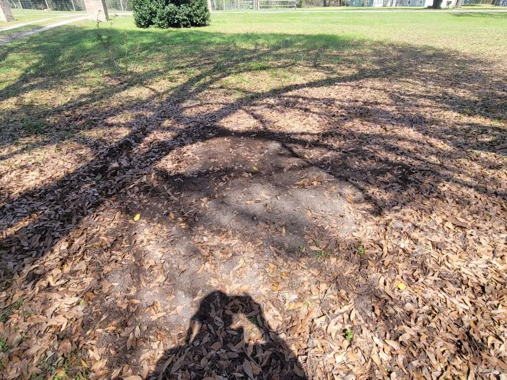 Top-rated garden landscaping for homes across Fort White, FL - A Cut Above The Rest Lawncare