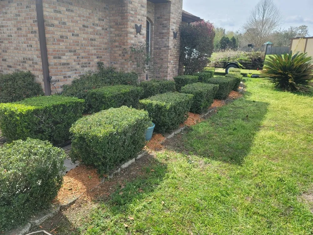 Affordable landscape design for beautiful yards in Fort White, FL by A Cut Above The Rest Lawncare