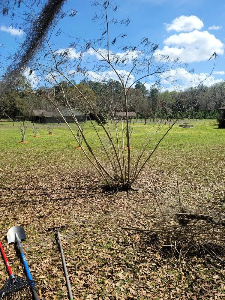 Custom landscape installation in Fort White, FL by A Cut Above The Rest Lawncare