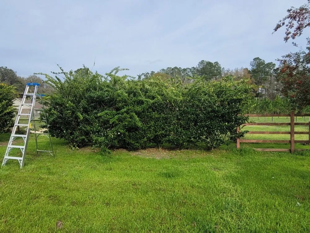 Custom residential landscaping for year-round maintenance in Fort White, FL by A Cut Above The Rest Lawncare