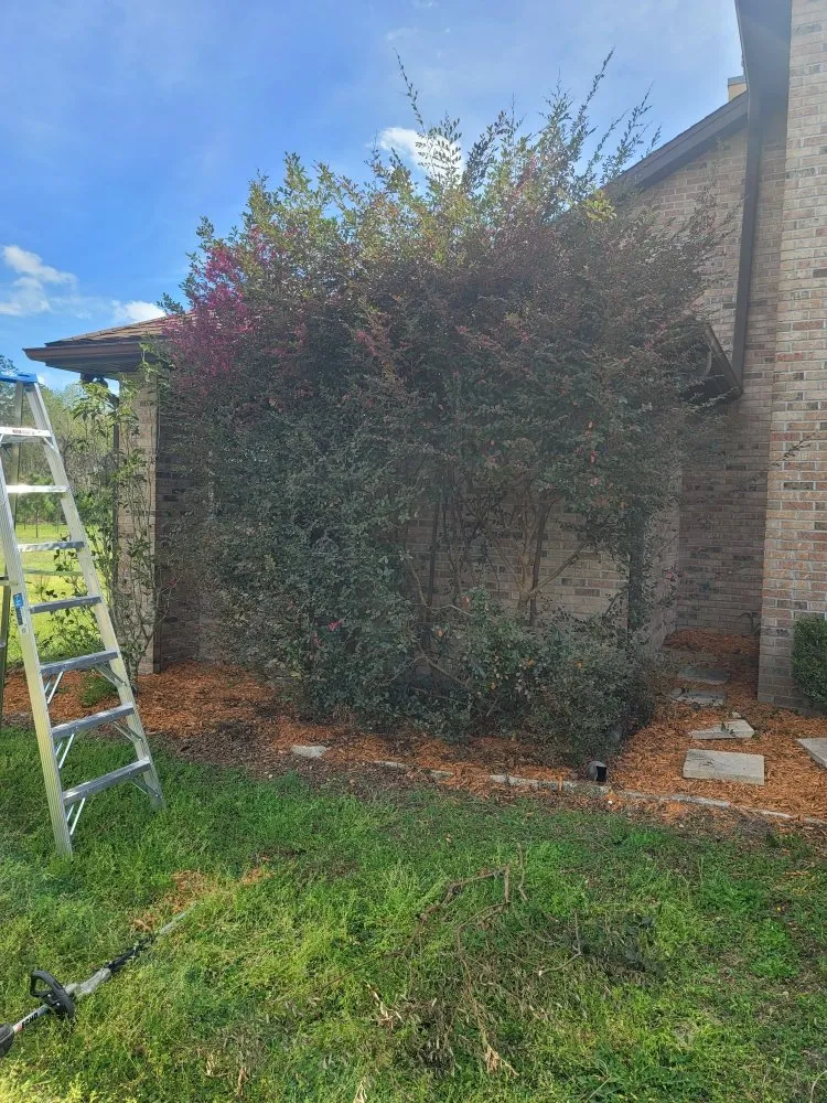 Top-rated yard maintenance for residential properties in Fort White, FL by A Cut Above The Rest Lawncare
