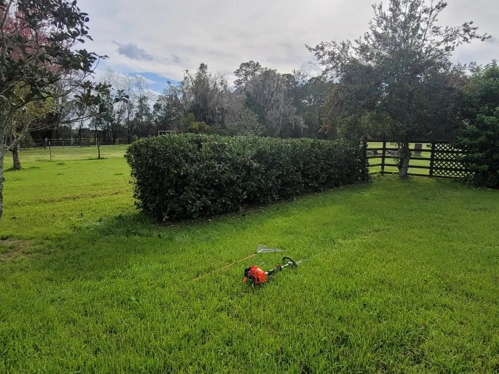 Expert lawn care service near you across Fort White, FL - A Cut Above The Rest Lawncare