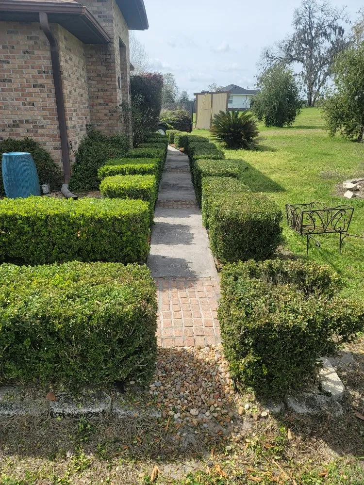 Affordable landscaping services in Fort White, FL - A Cut Above The Rest Lawncare