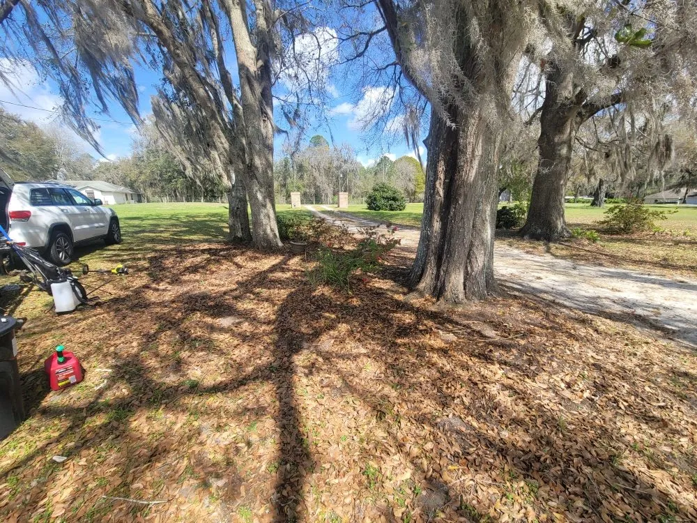 Top-rated landscaping services with custom design in Fort White, FL by A Cut Above The Rest Lawncare
