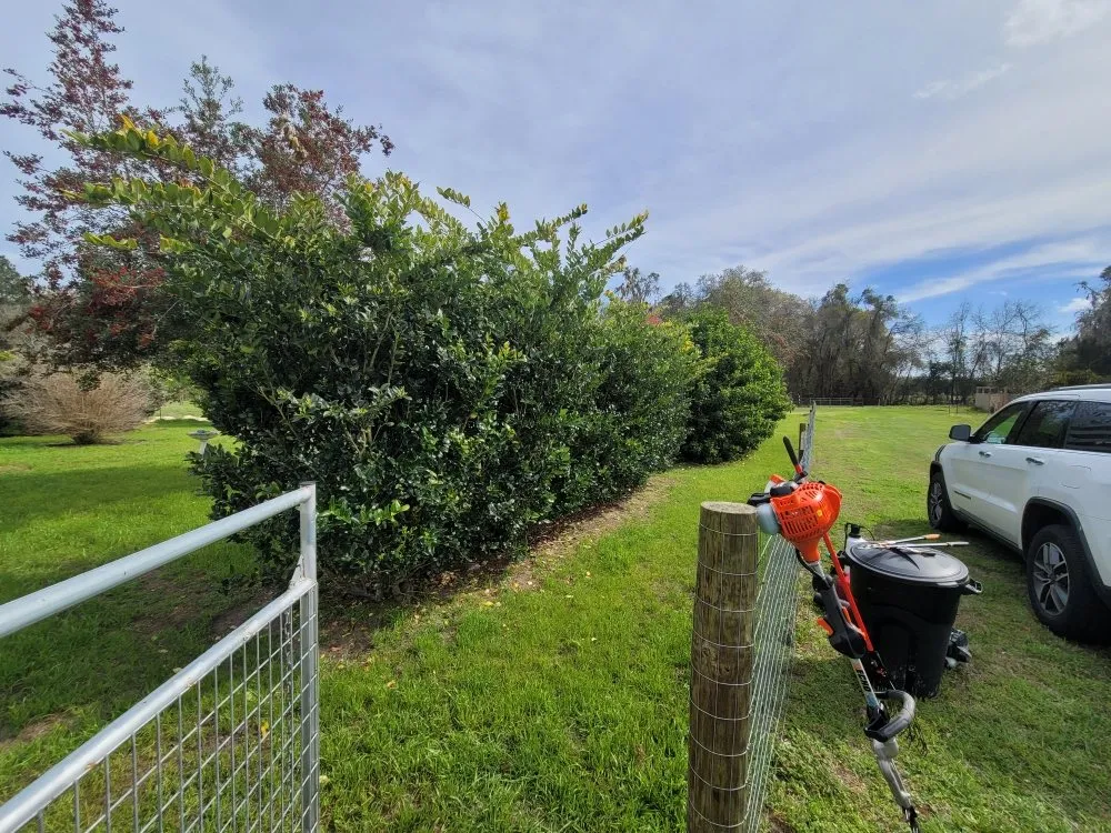 Trusted lawn care service for homes in Fort White, FL by A Cut Above The Rest Lawncare