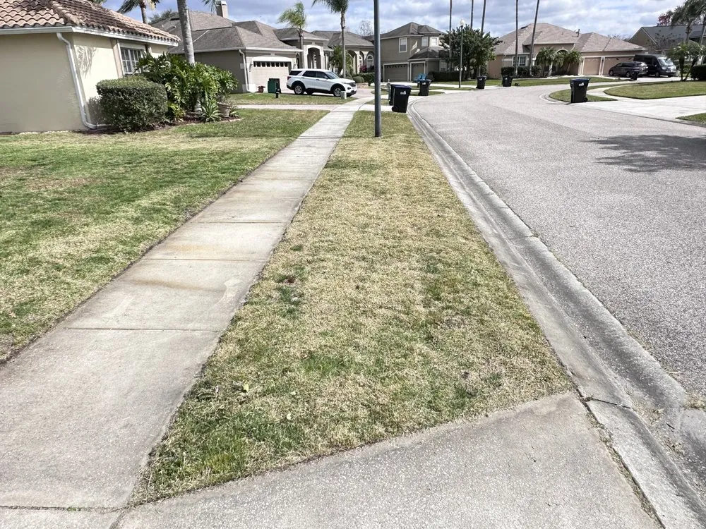 Affordable lawn mowing service with custom design across Orlando, FL - A Cut Above the Rest