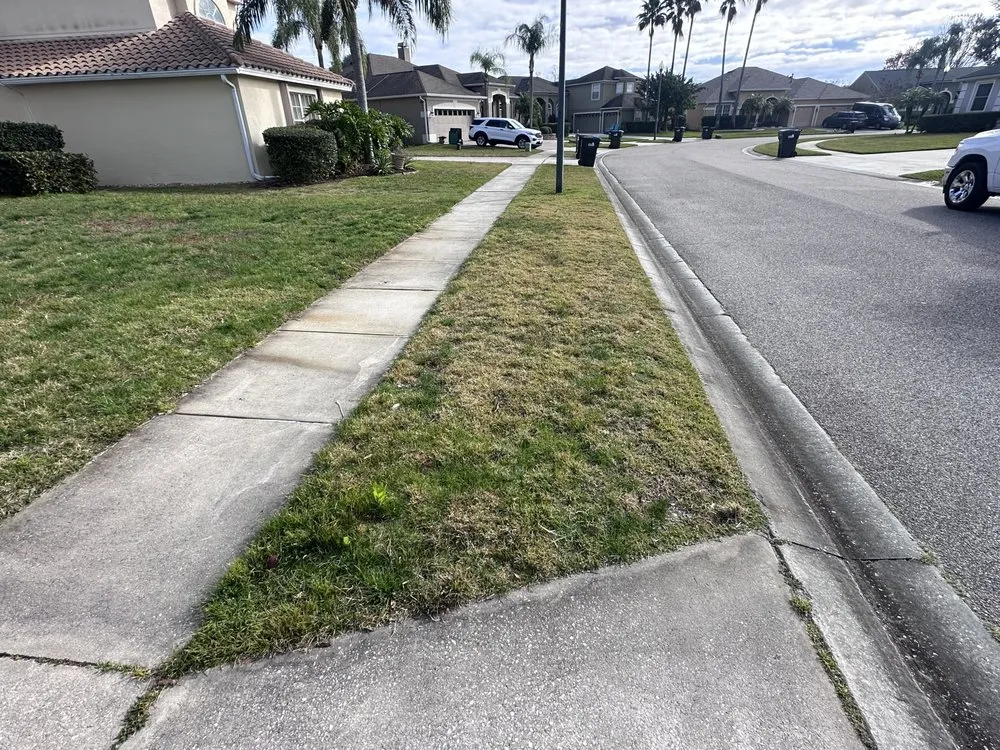 Reliable landscaping services with custom design across Orlando, FL - A Cut Above The Rest