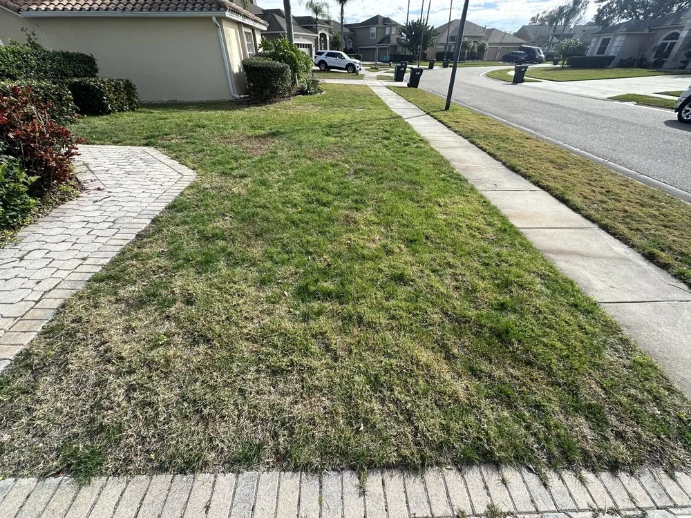 Top-rated yard maintenance for year-round maintenance in Orlando, FL by A Cut Above The Rest