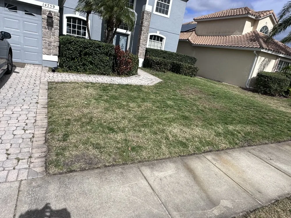 Professional outdoor landscaping near you across Orlando, FL - A Cut Above The Rest