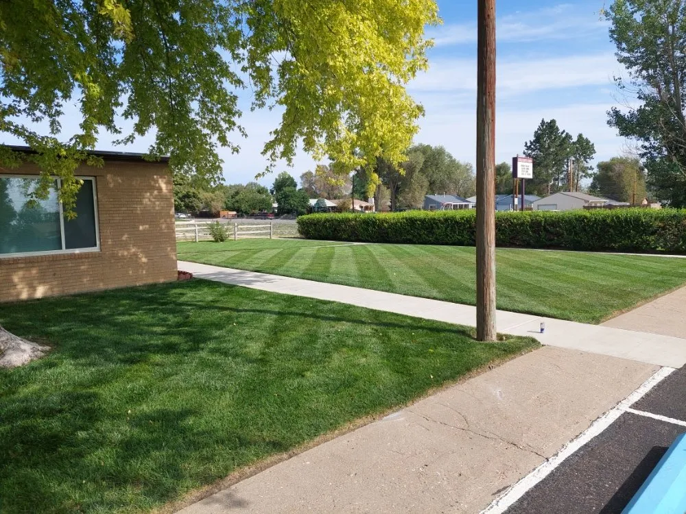 Local outdoor landscaping in Pueblo, CO by A Cut Above the Rest