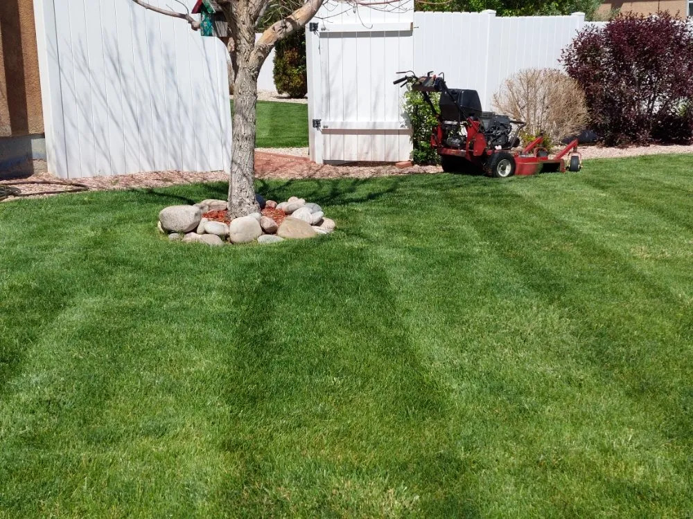 Local lawn care service in Pueblo, CO by A Cut Above the Rest