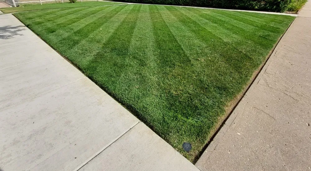 Professional landscape installation near you in Pueblo, CO by A Cut Above the Rest