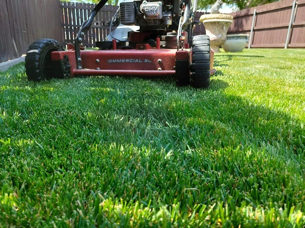 Professional yard maintenance experts serving Pueblo, CO - A Cut Above the Rest