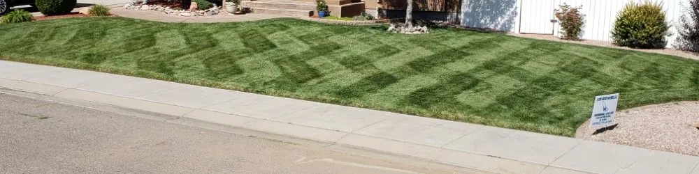 Reliable landscape design for year-round maintenance across Pueblo, CO - A Cut Above the Rest