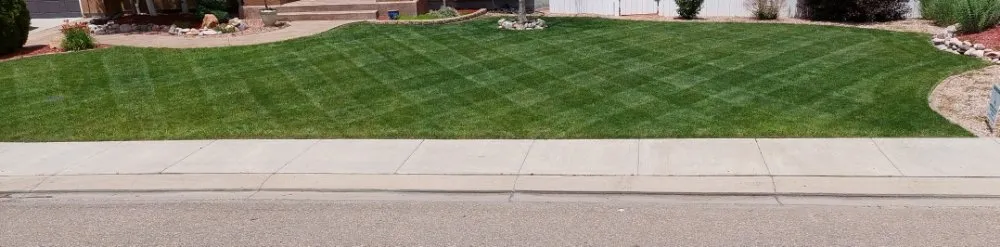 Custom lawn mowing service for residential properties in Pueblo, CO by A Cut Above the Rest