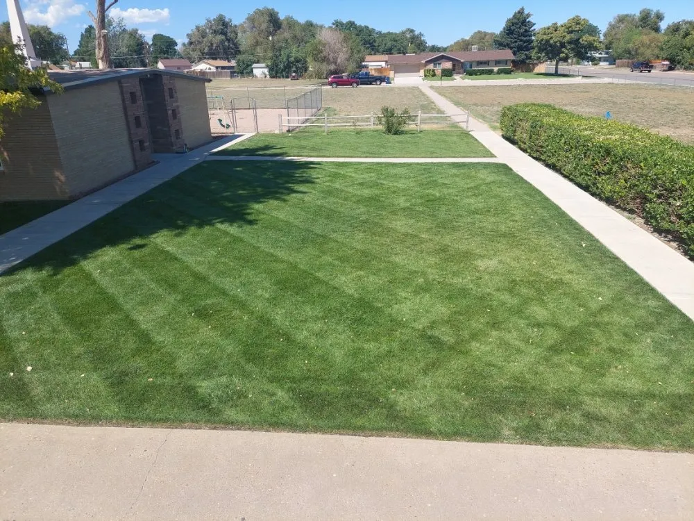 Professional lawn care service in Pueblo, CO by A Cut Above the Rest