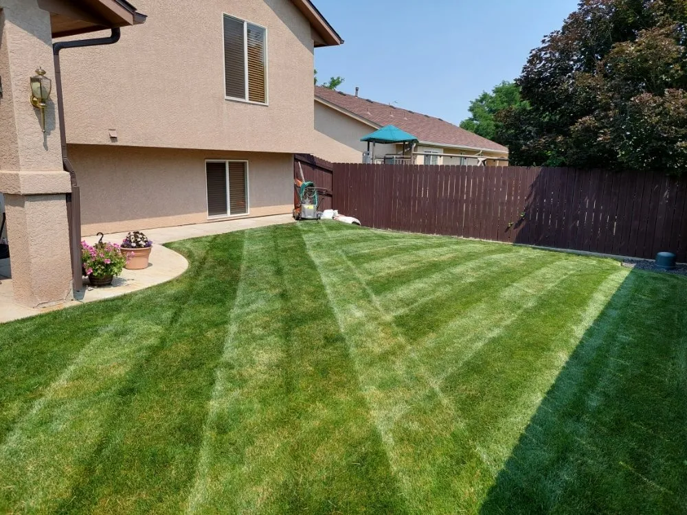 Affordable lawn care service in Pueblo, CO - A Cut Above the Rest