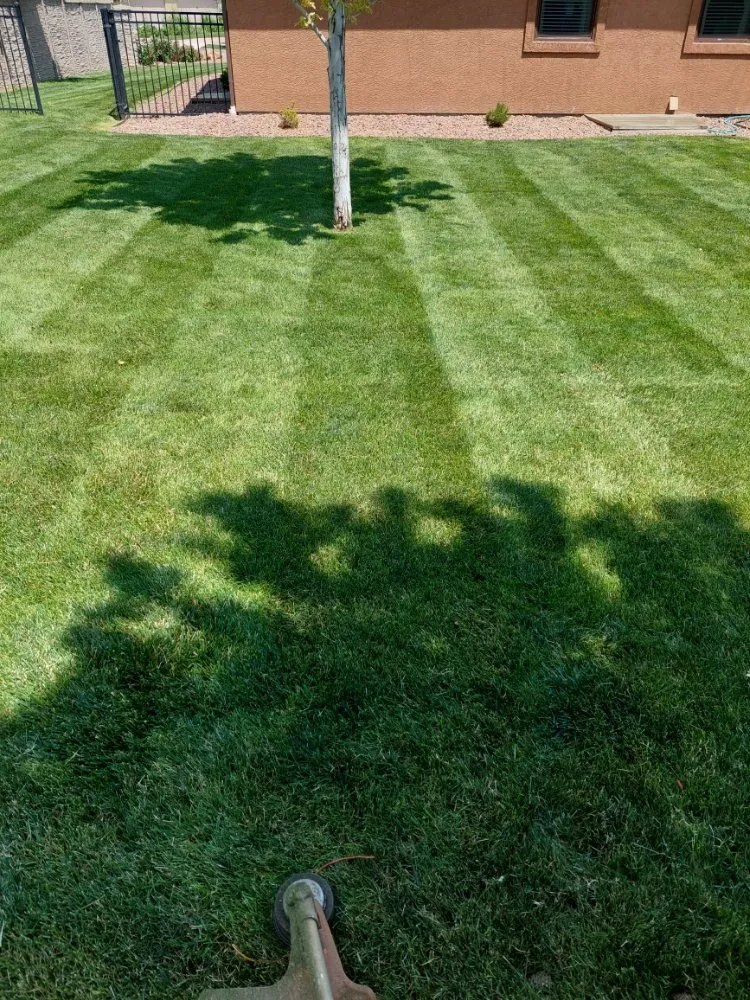 Trusted lawn care service in Pueblo, CO by A Cut Above the Rest