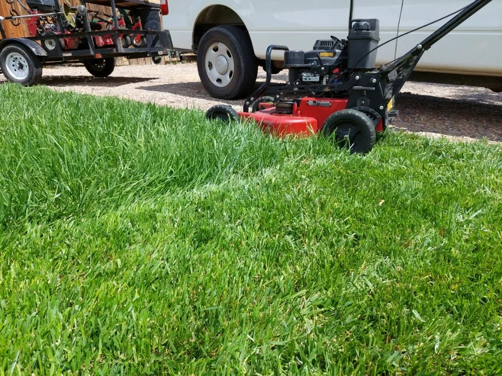 Affordable yard maintenance experts serving Pueblo, CO - A Cut Above the Rest