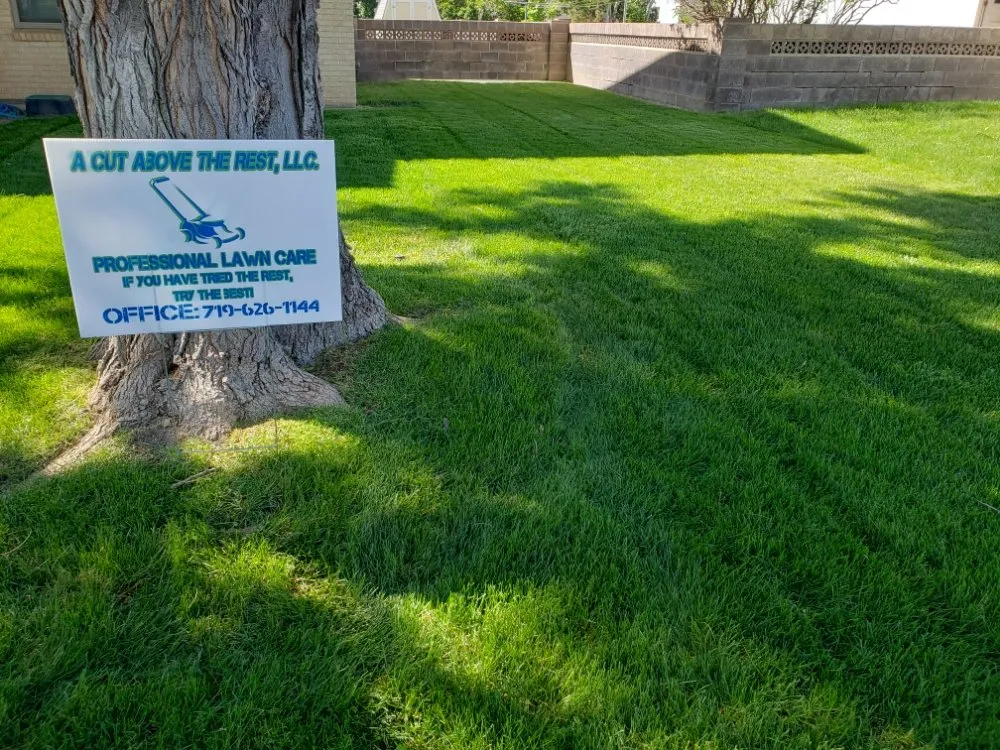 Expert yard cleanup service near you in Pueblo, CO by A Cut Above the Rest