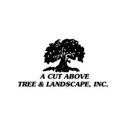 Trusted landscape design in Chuluota, FL - A Cut Above Tree & Landscape