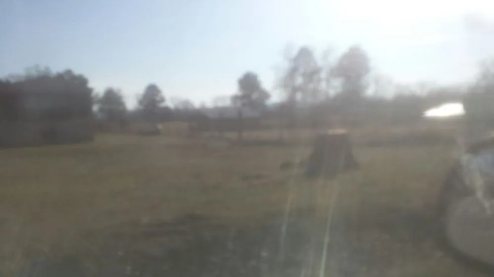 Expert landscape design for outdoor upgrades in Batesville, AR by A Cut Above Tree & Stump Removal