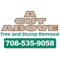 Reliable landscaping services for homes in Oak Forest, IL by A Cut Above Tree & Stump Removal