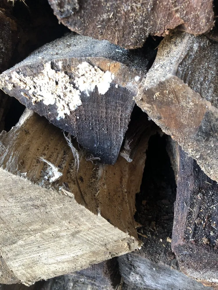 Professional residential landscaping for beautiful yards in Oak Forest, IL by A Cut Above Tree & Stump Removal