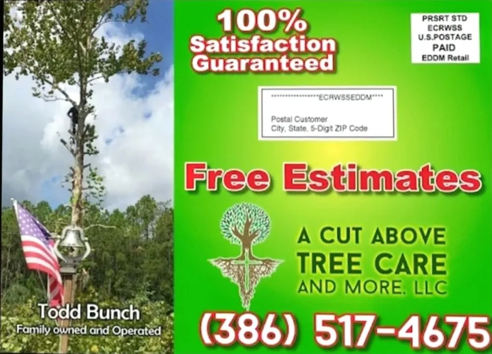 Top-rated landscape installation in South Daytona, FL by A Cut Above Tree Care And More