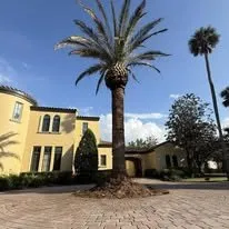 Top-rated residential landscaping in South Daytona, FL by A Cut Above Tree Care And More